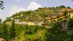 Avalon Resorts